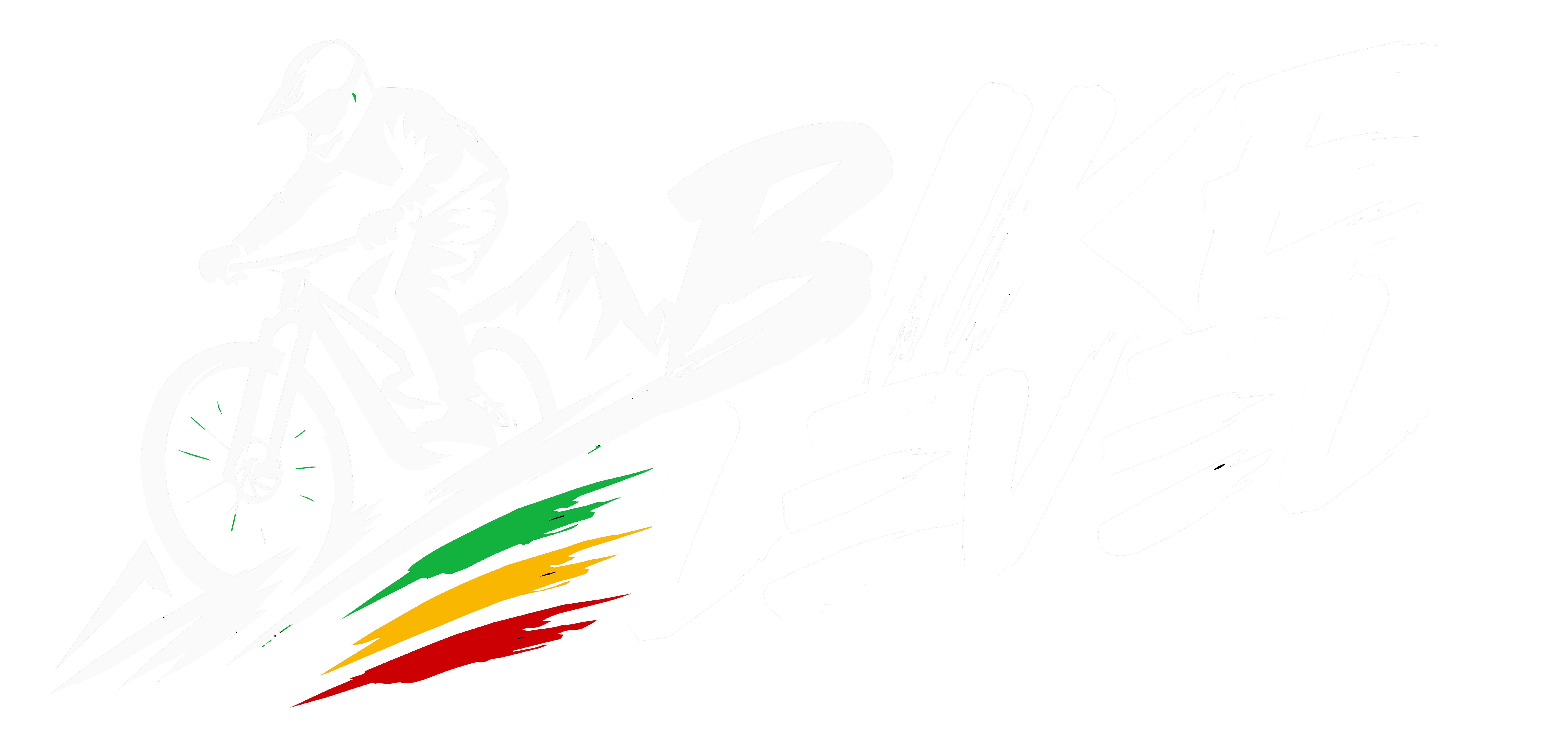 BikeLevel